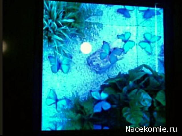 "Живой уголок"