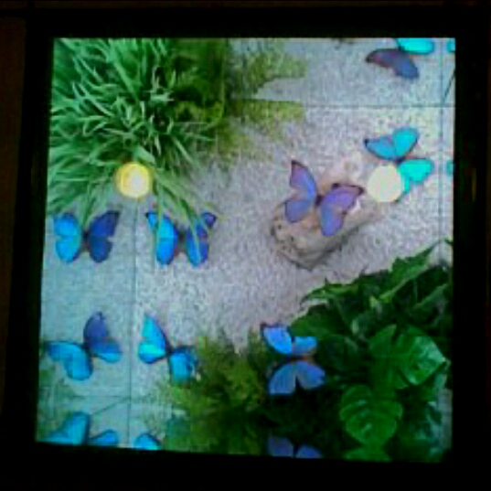 "Живой уголок"