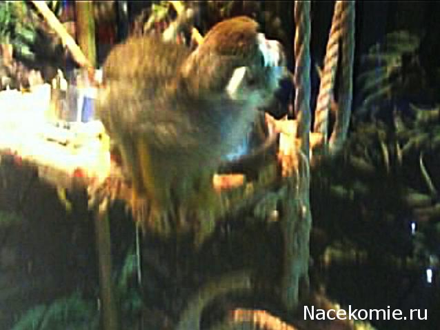 "Живой уголок"