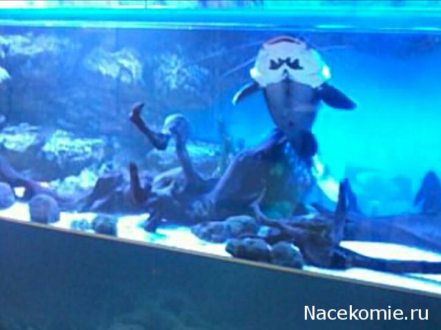 "Живой уголок"