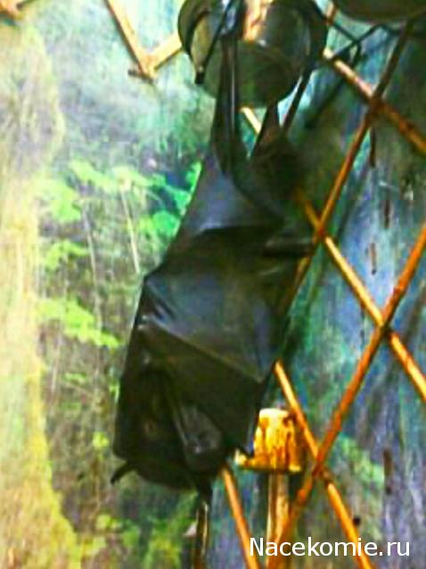 "Живой уголок"