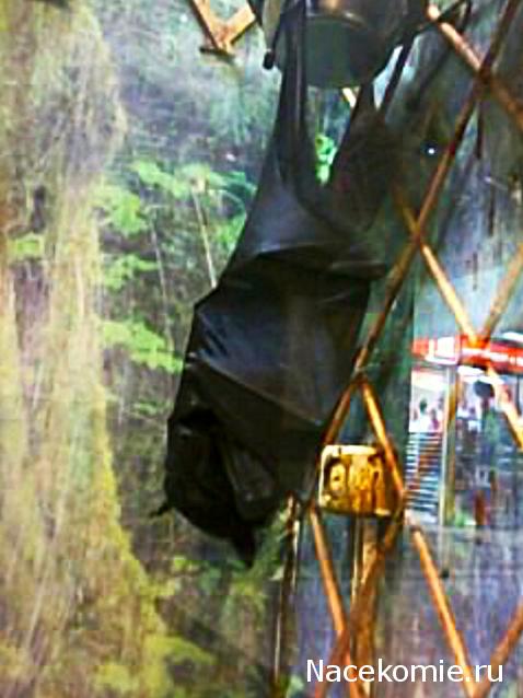 "Живой уголок"