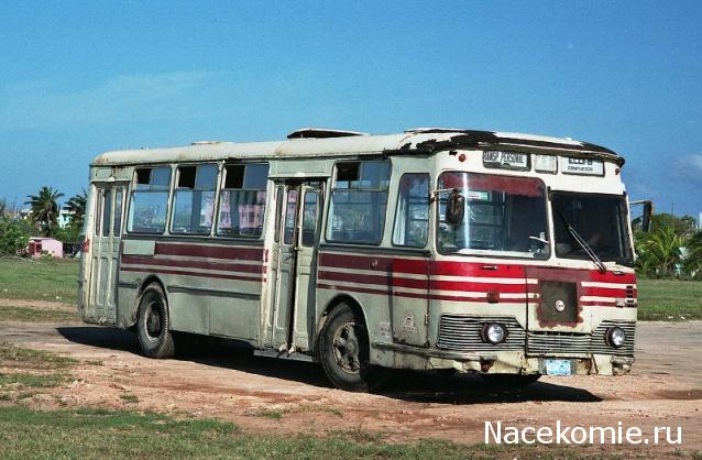 Фото наших коллекций автомобилей