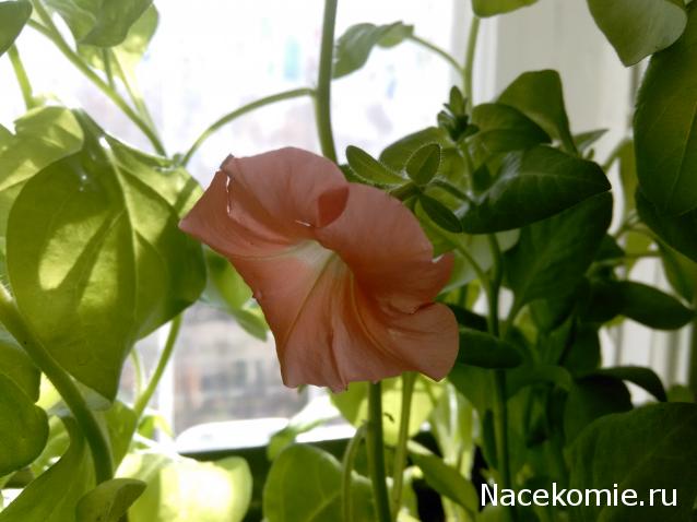 "Живой уголок"