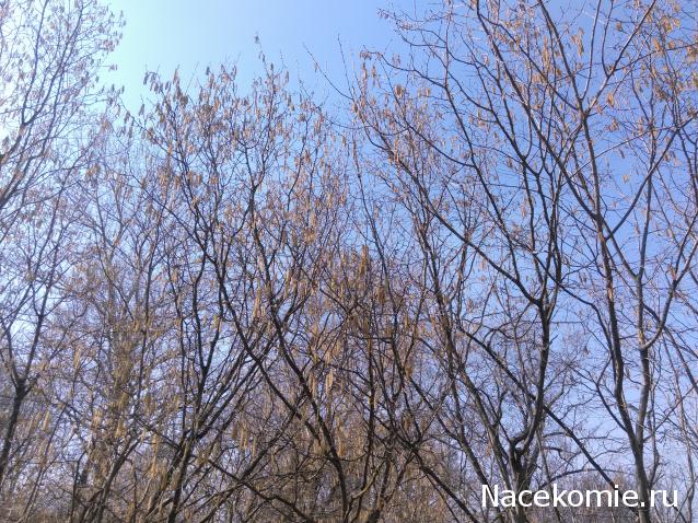 "Живой уголок"