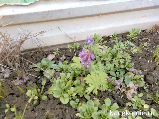 "Живой уголок"