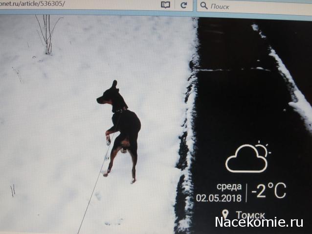 "Живой уголок"