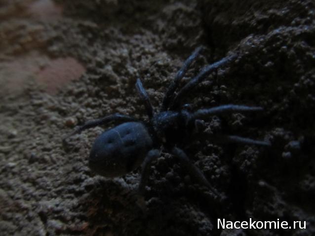 "Живой уголок"