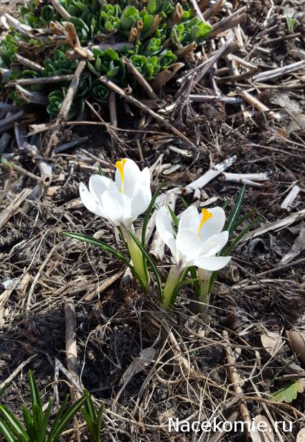 "Живой уголок"