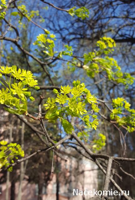 "Живой уголок"