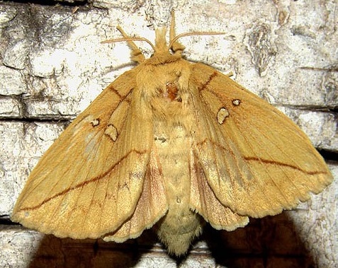 "Живой уголок"