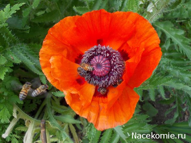 Куклы в народных костюмах – "Девчушки-болтушки"