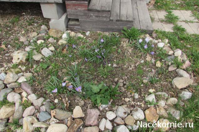 "Живой уголок"