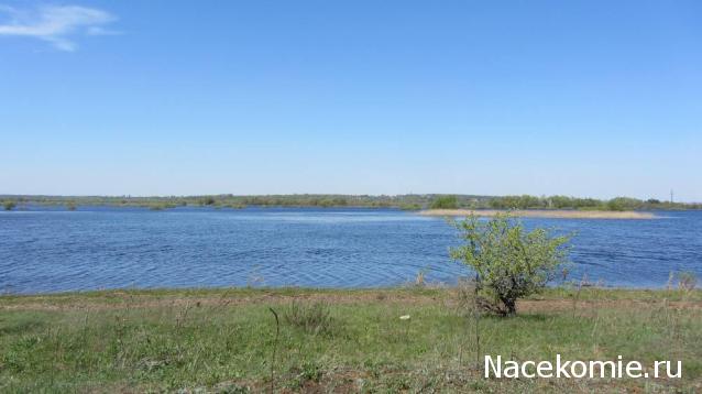 "Живой уголок"