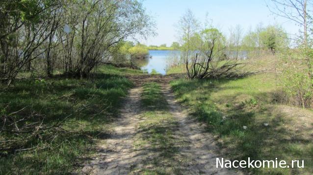 "Живой уголок"