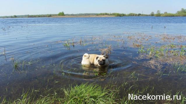 "Живой уголок"