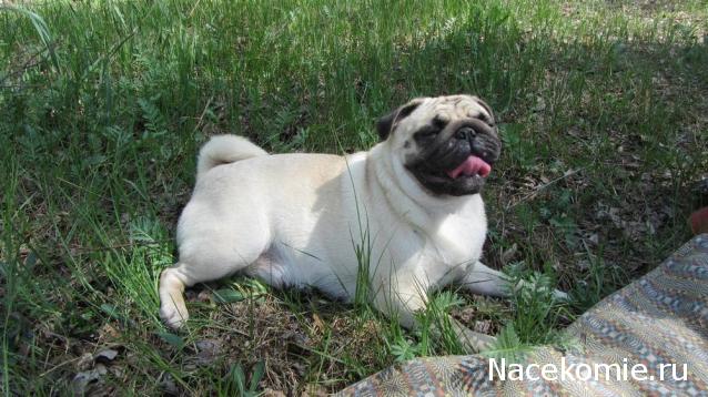 "Живой уголок"