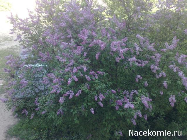 "Живой уголок"