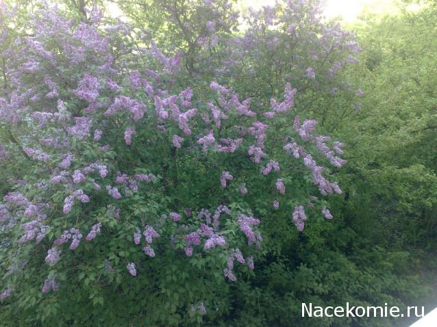 "Живой уголок"