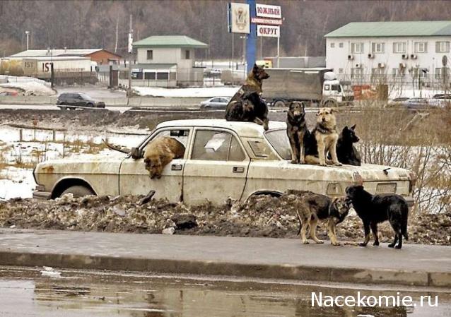 Легендарные Советские Автомобили №8 - ГАЗ-24 "Волга"