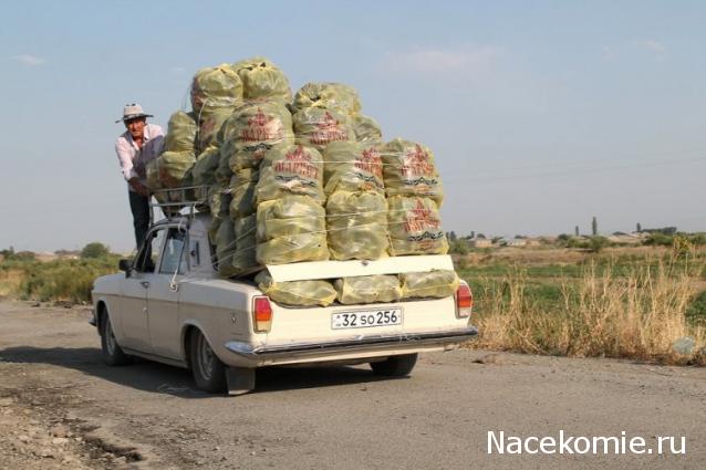 Автолегенды вживую