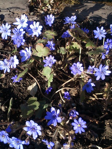 Куклы в народных костюмах – "Девчушки-болтушки"