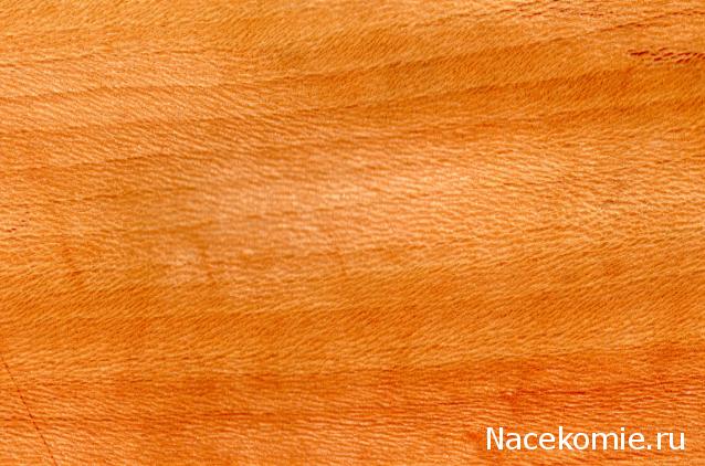 Энциклопедия пород древесины