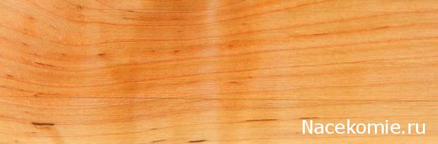 Энциклопедия пород древесины