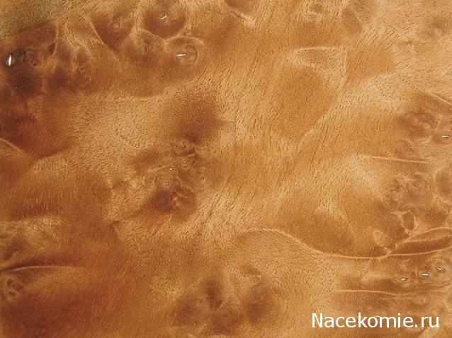 Энциклопедия пород древесины