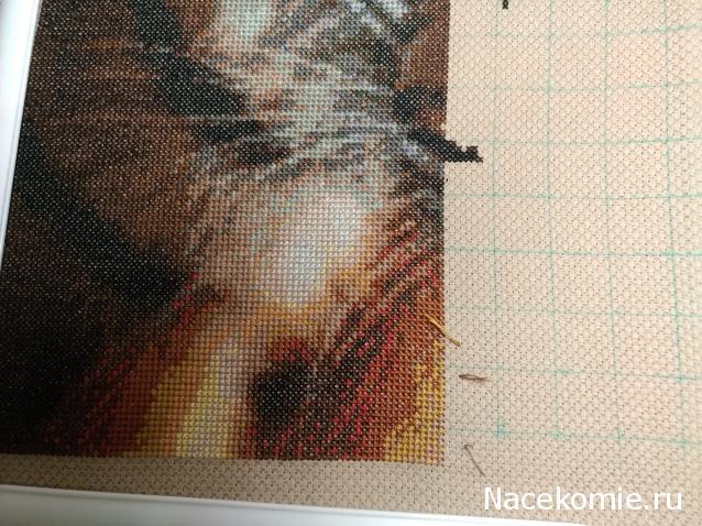 100 крестиков!