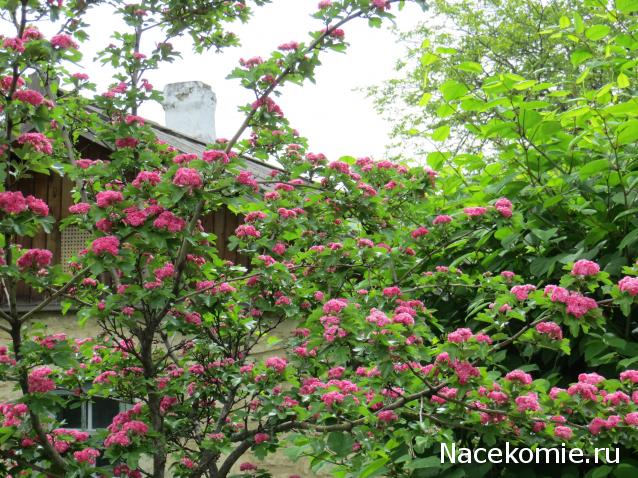 Куклы в народных костюмах – "Девчушки-болтушки"