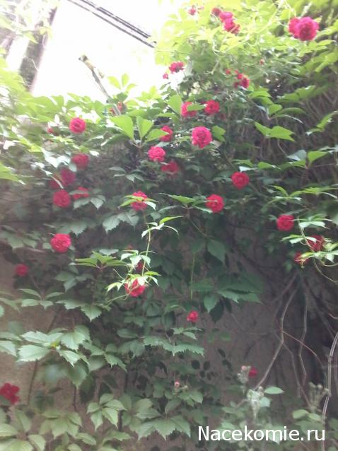 Куклы в народных костюмах – "Девчушки-болтушки"