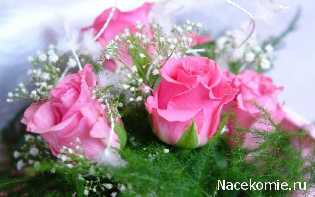 Дом Мечты наши дни рождения