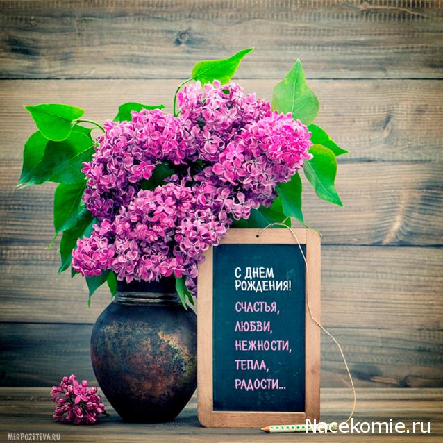 Дом Мечты наши дни рождения