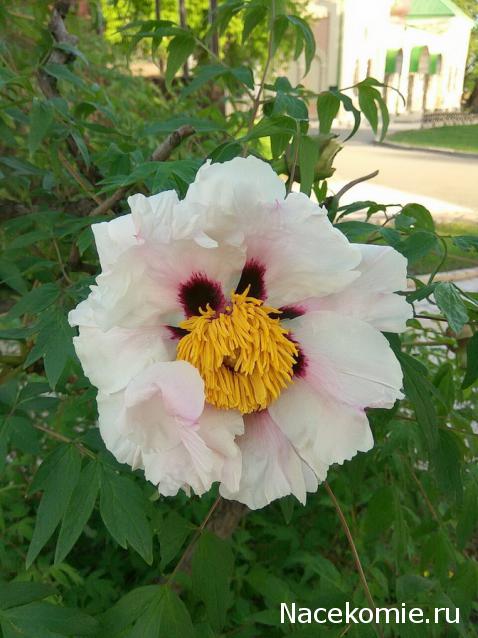 "Живой уголок"