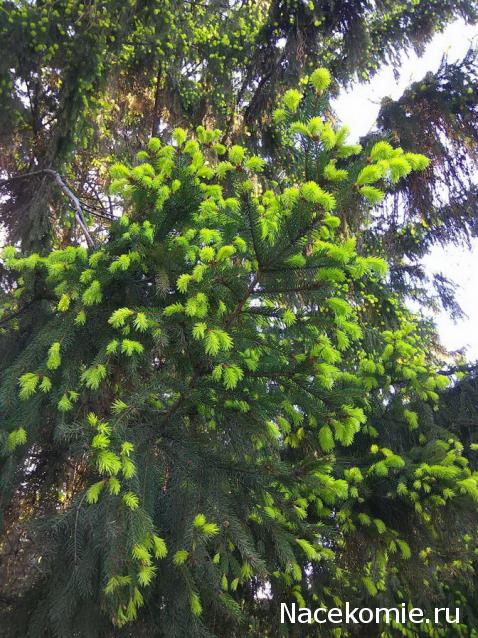 "Живой уголок"