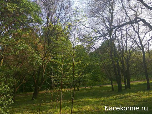 "Живой уголок"