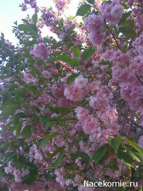 "Живой уголок"