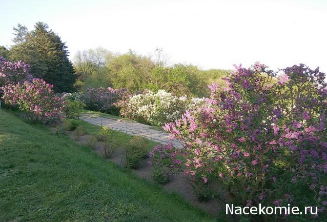 "Живой уголок"