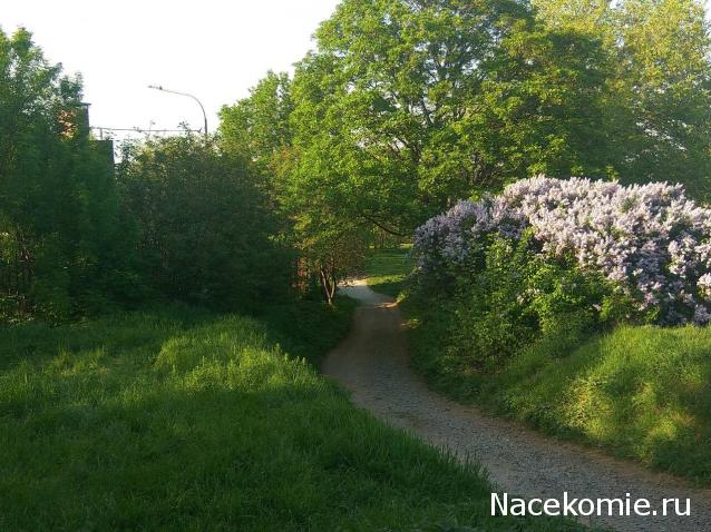 "Живой уголок"