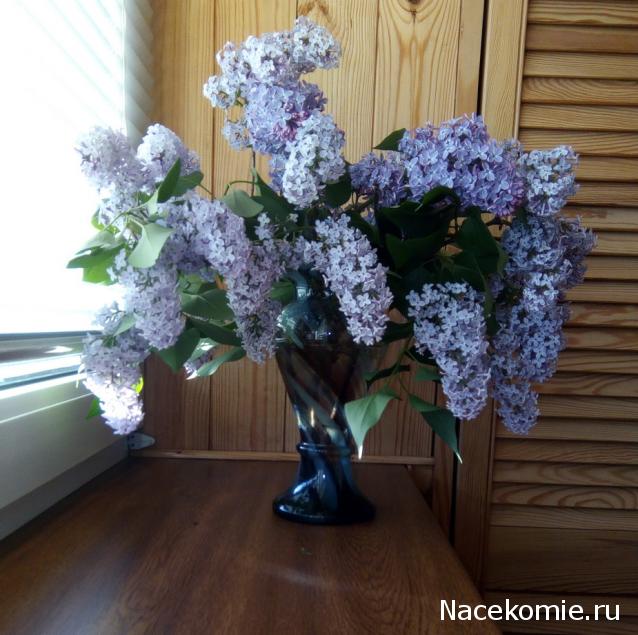 "Живой уголок"