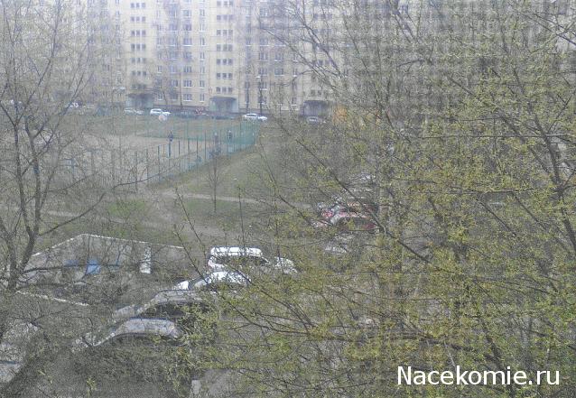 "Живой уголок"