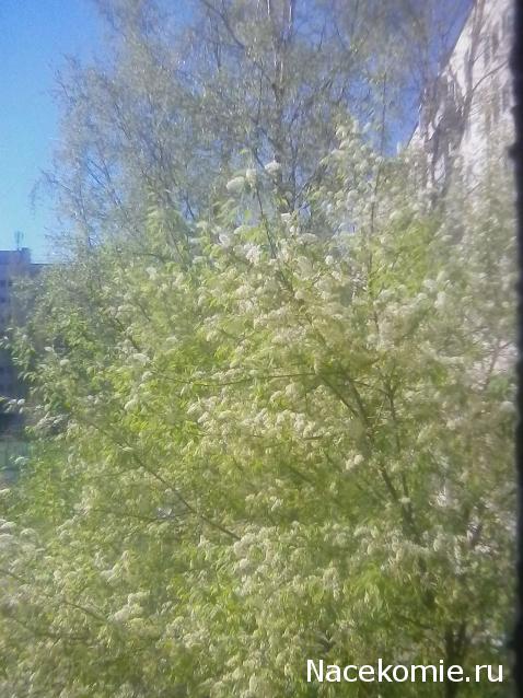 "Живой уголок"