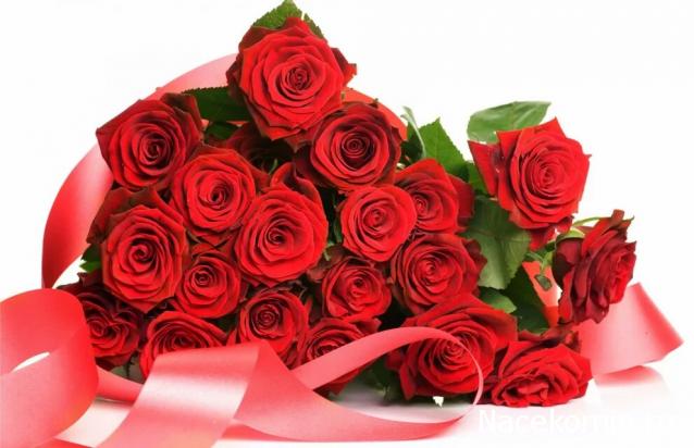 Дом Мечты наши дни рождения