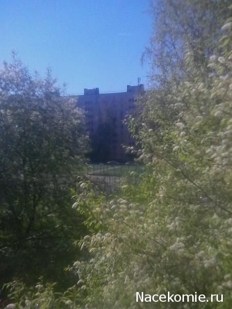 "Живой уголок"