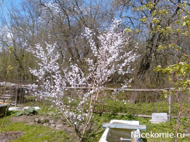 "Живой уголок"