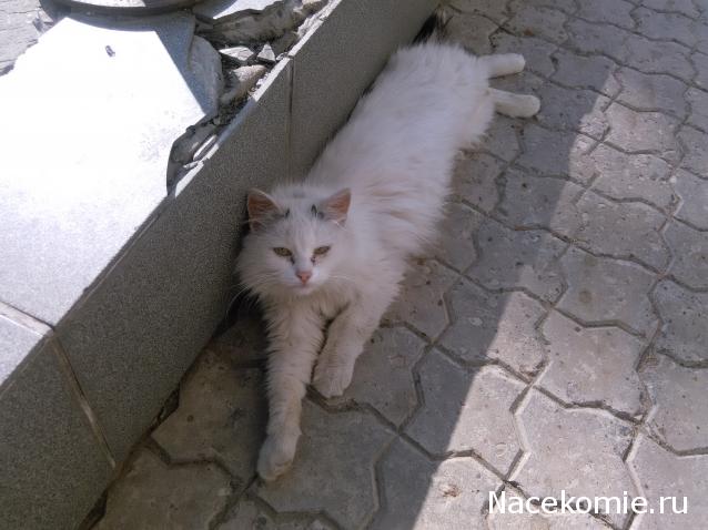 "Живой уголок"