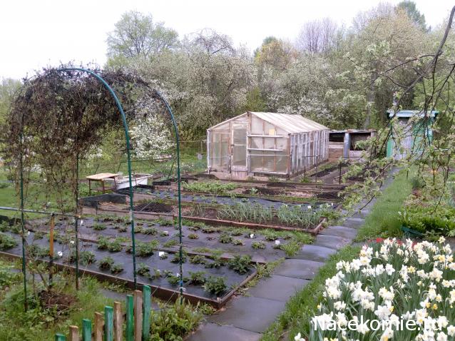 "Живой уголок"