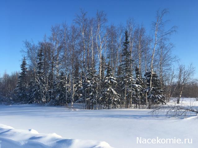 "Живой уголок"