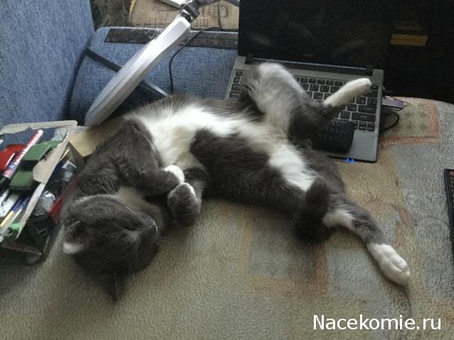 "Живой уголок"